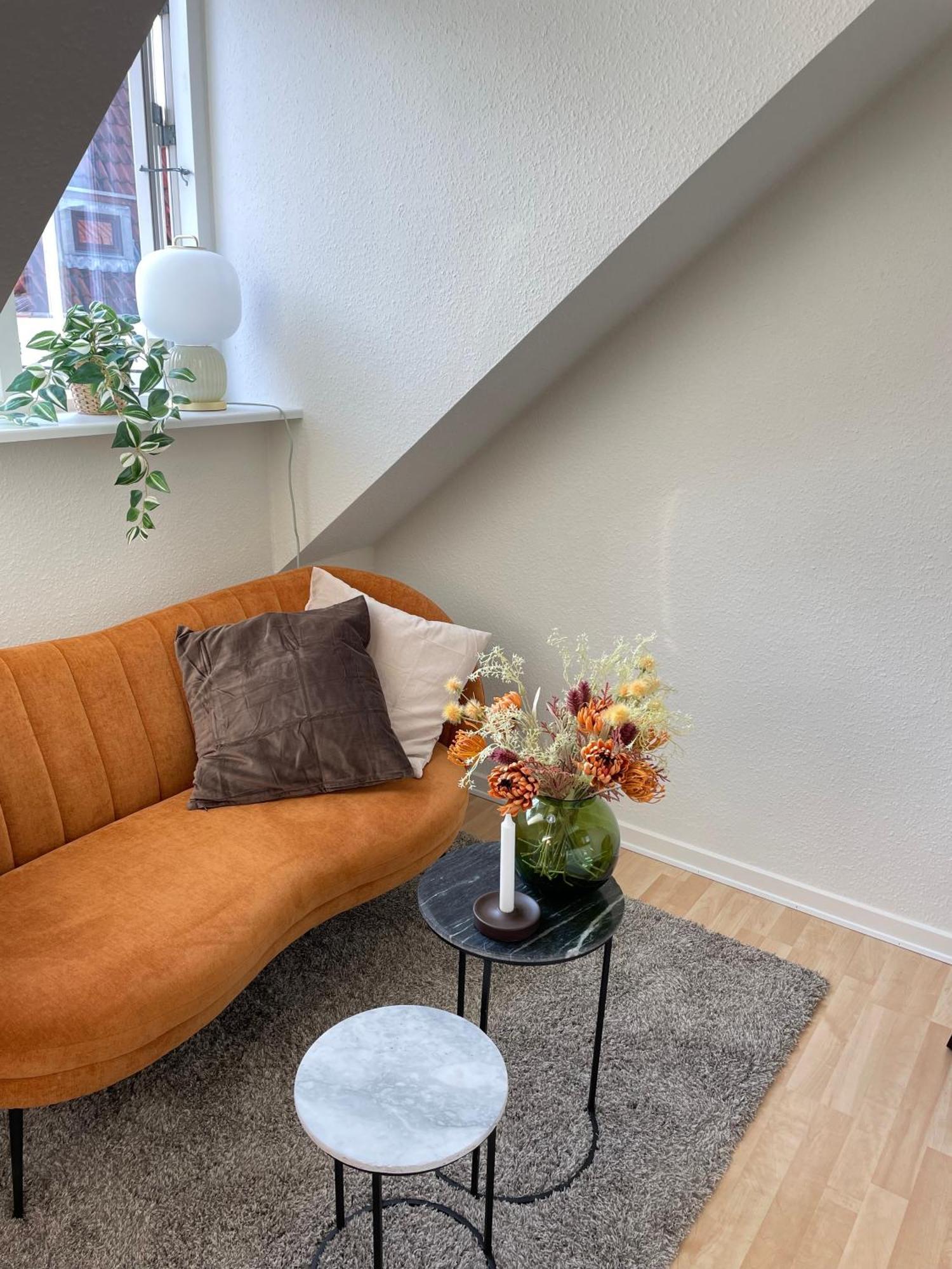 Central Lejlighed I Odense C公寓 外观 照片
